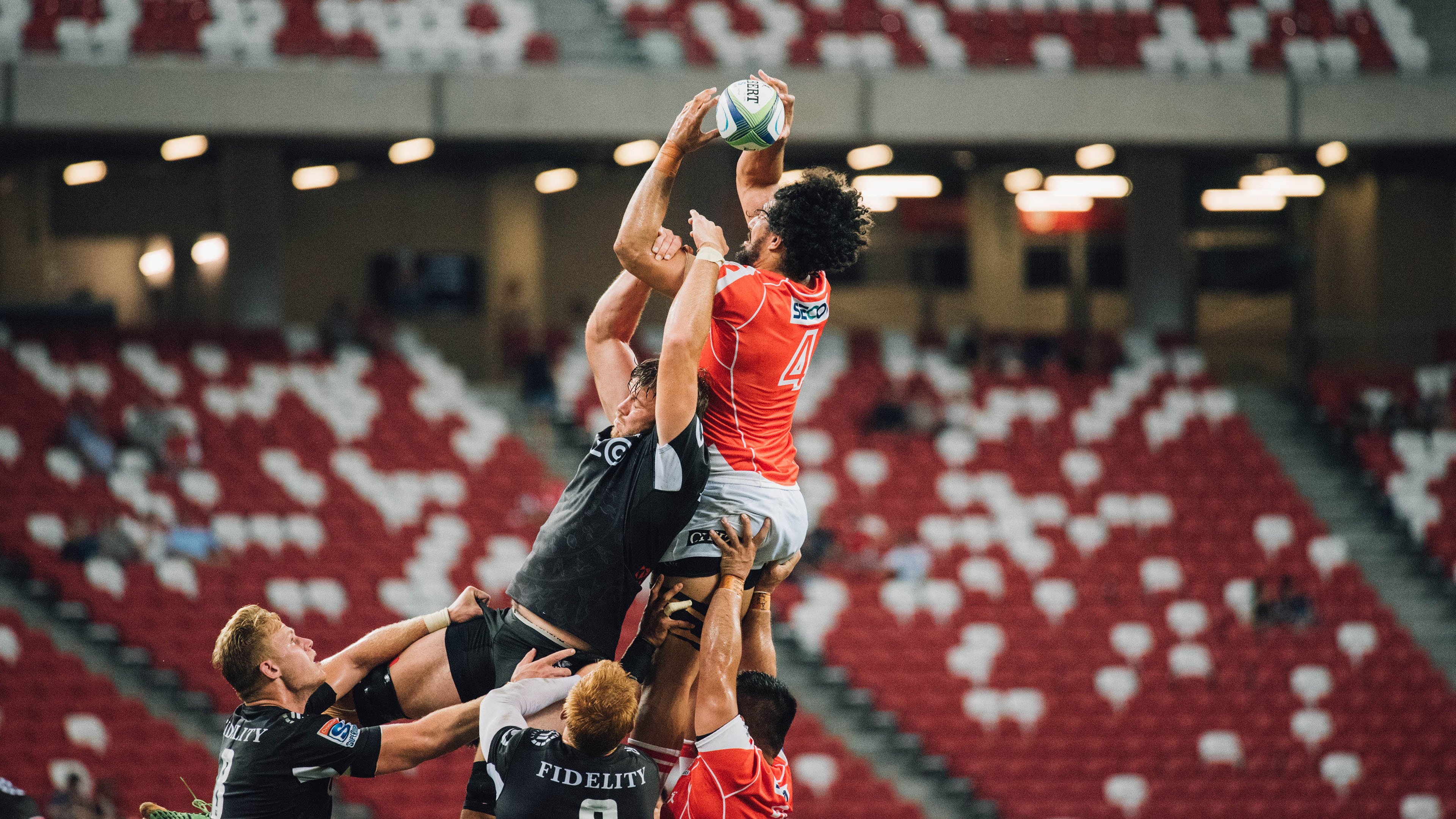 世界飞盘狗锦标赛 狗狗腾空接盘与主人配合默契获得高分